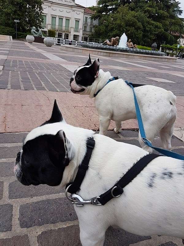In esplorazione nella piazza di Abano Terme