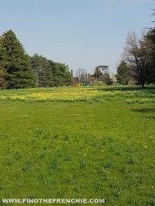 Il bellissimo parco di Villa Manin