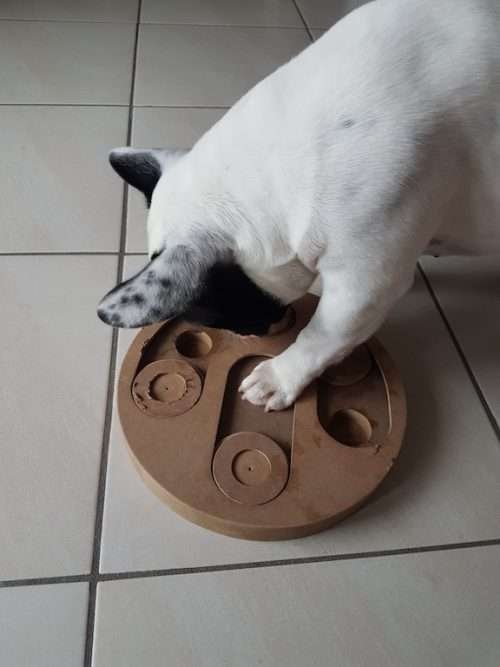 Gioco d'intelligenza per cane Karlie Doggy Brain Train 2in1