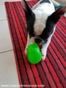 pupazzi giocattolo per cani pupazzo giocattolo per cani