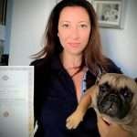 original bulldog francese-pedegree
