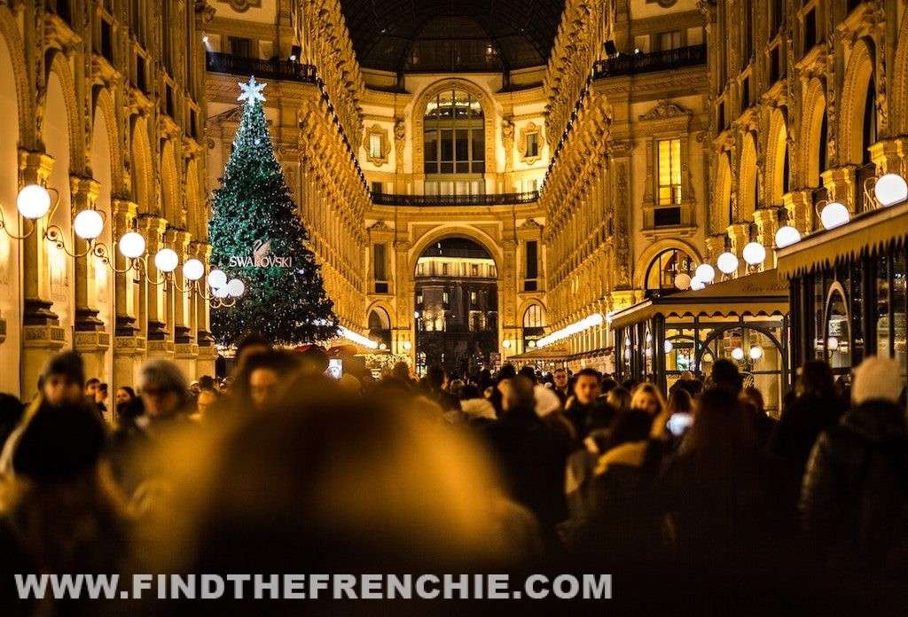 Botti di Capodanno e Bulldog Francese - GallerVittorio Emanuale Milano