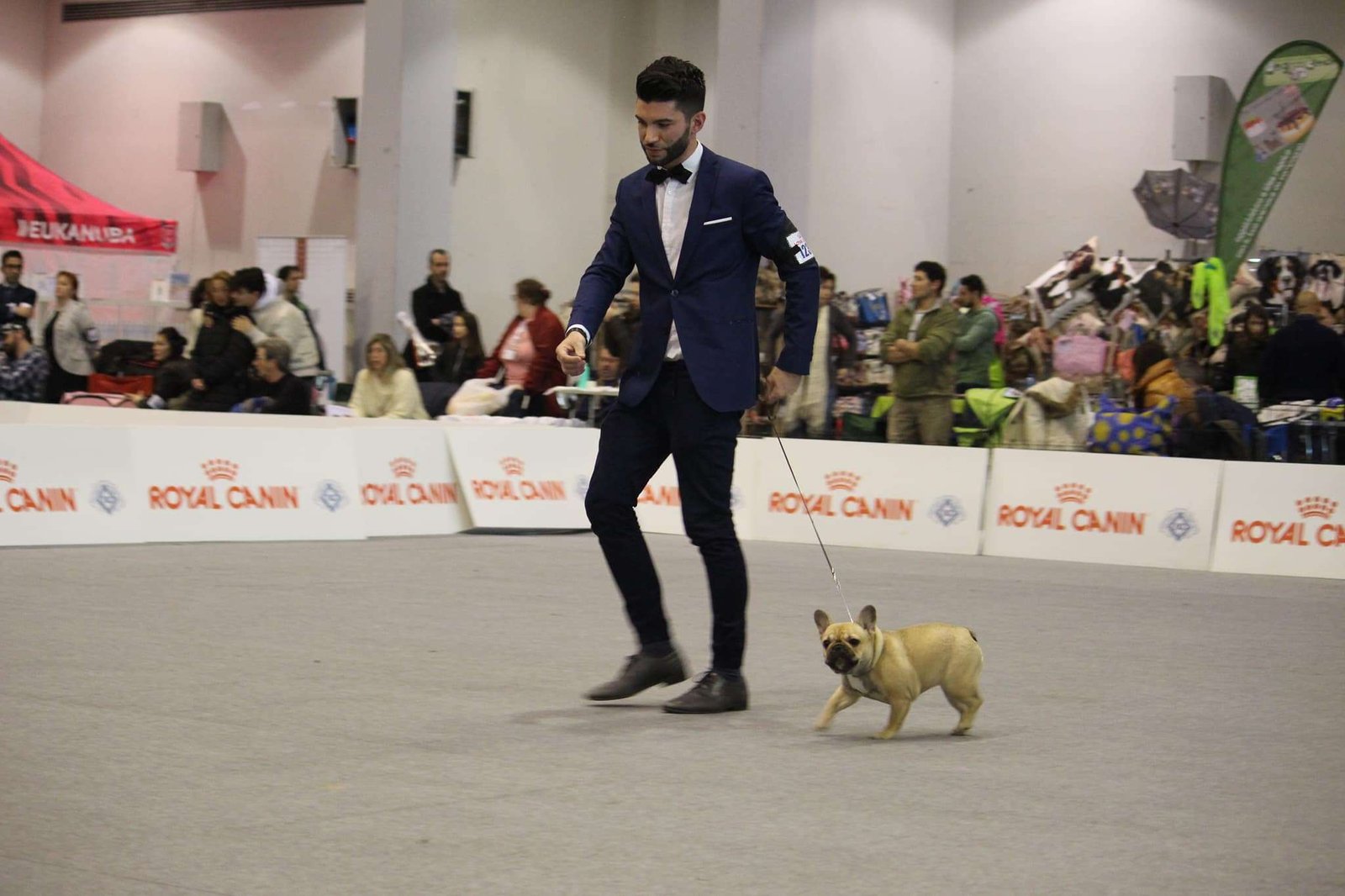 Esposizione Canina Internazionale di Padova 2018
