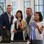 Raduno Club Cani Compagnia Treviso Bouledogue Francese