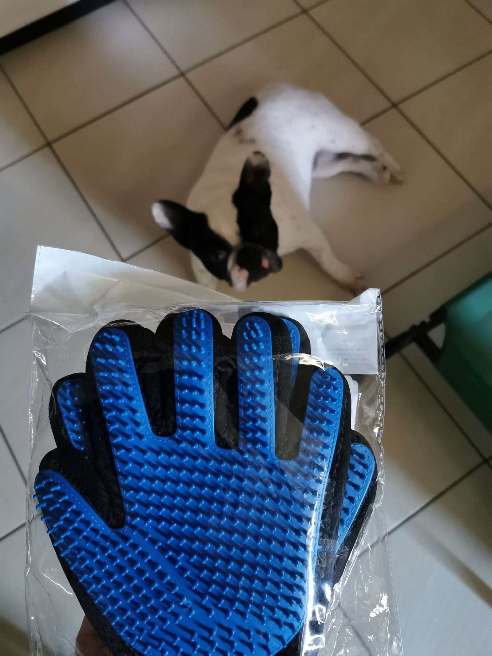 Guanti in gomma per cani - misura unica Omorc