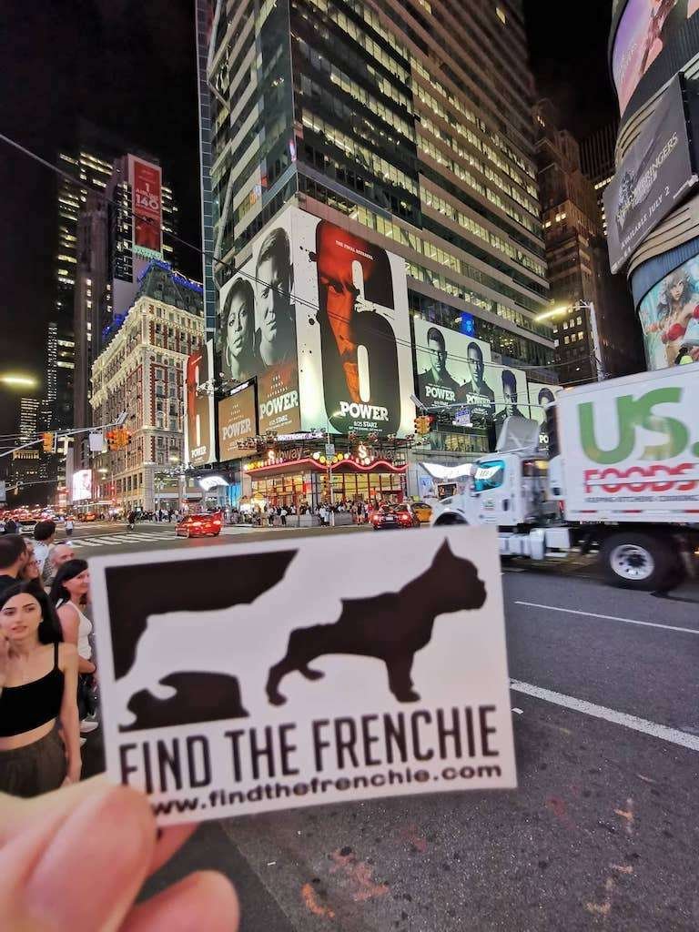 French Bulldog in New York - Curb your dog