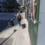 French Bulldog in New York – walking 2