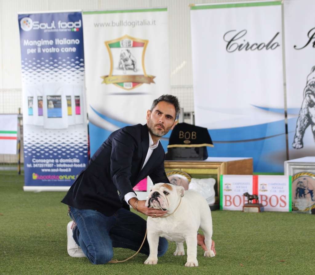 Vincitori Campionato Sociale Circolo Italiano Bulldog Modena 2019