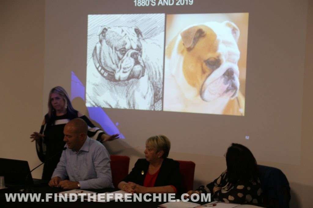 Seminario Bulldog Inglese - Circolo Italiano Bulldog Inglese Seminario Bulldog 2019 - 1880 and 2019