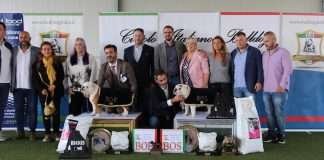 Vincitori Campionato Sociale Circolo Italiano Bulldog Modena 2019