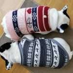 Cappottini Bouledogue Francese Inverno 2019 2020