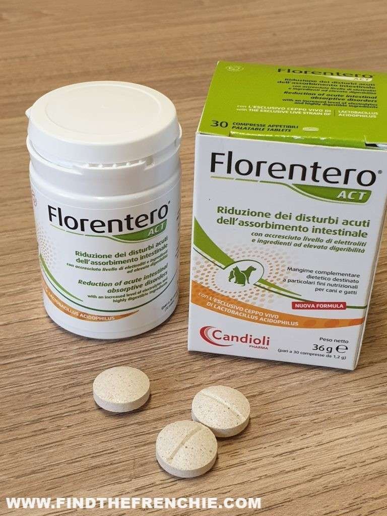 L'Influenza intestinale del cane. Sintomi e cure. Florentero Act diarrea cane L'Influenza intestinale del cane. Sintomi e cure. Florentero Act diarrea cane