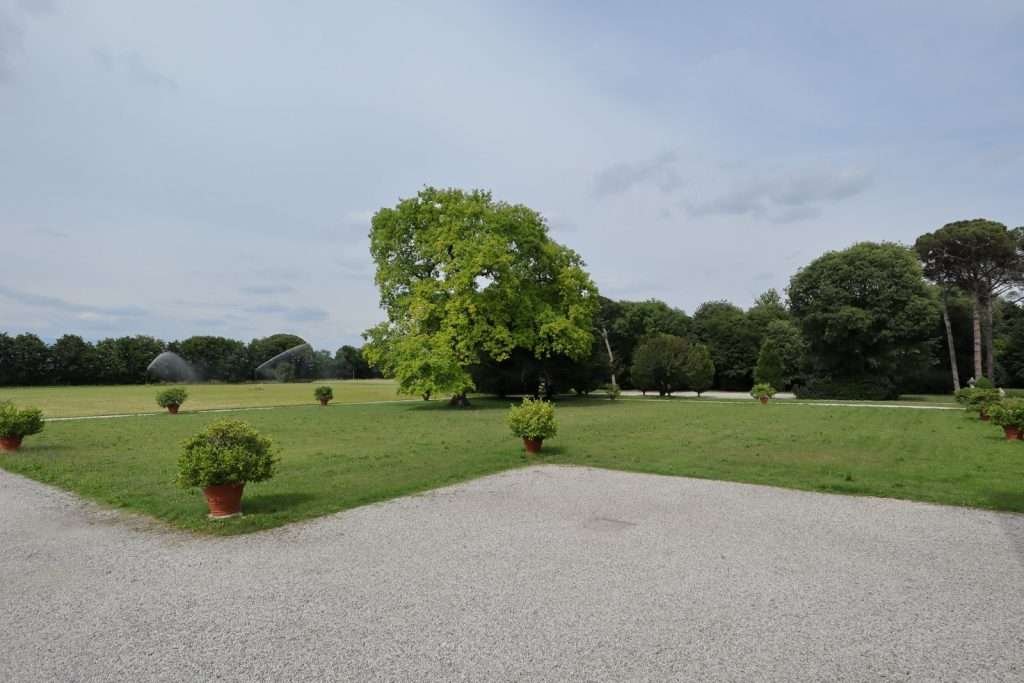 Mia nel parco di Villa Emo dell'archittetto Andrea Palladio. La villa si trova Fanzolo di Vedelago, in provincia di Treviso.