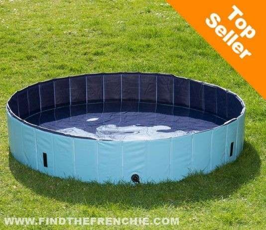 Piscina per cani Dog Pool Keep Cool