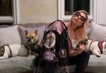 Lady Gaga con i suoi bulldog francesi (Instagram)